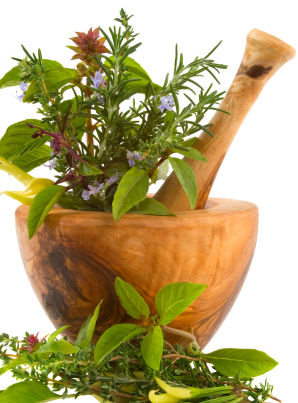 herbal medicine herbs