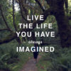 Live The Life You Always Imagined 